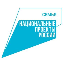 Брендбук-национальные-проекты-россии_00002